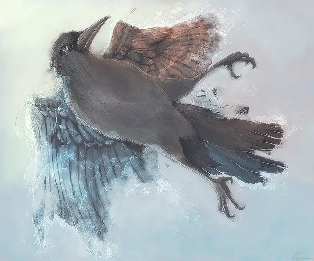 Raven landing in snow