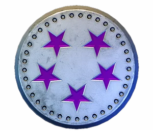 Pale blue coin with five purple stars