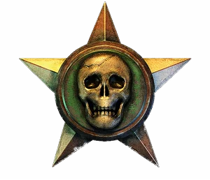 Gold star with a bone skull on green