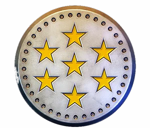 White coin with seven gold stars