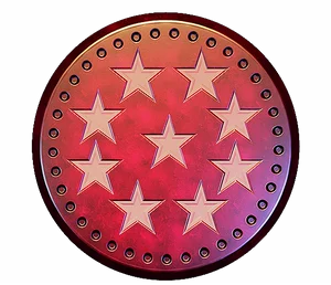 Red coin with nine pink stars